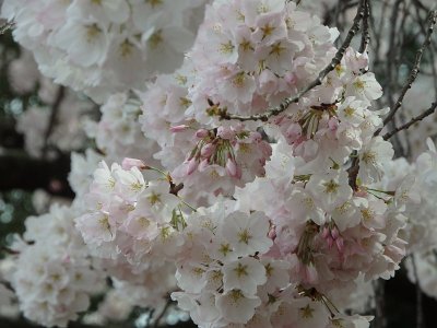 Spring25 (190)