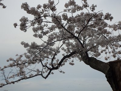 Spring25 (198)