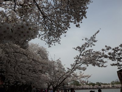 Spring25 (201)