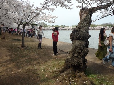 Spring25 (202)