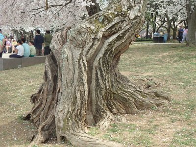 Spring25 (205)