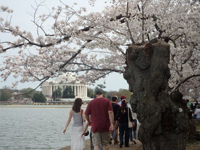 Spring25 (209)