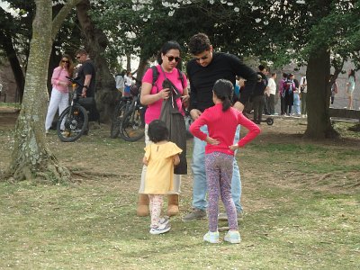 Spring25 (211)