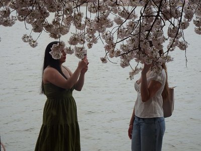 Spring25 (214)