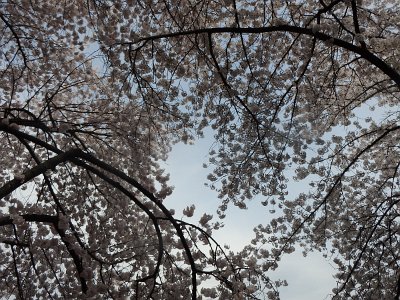 Spring25 (215)