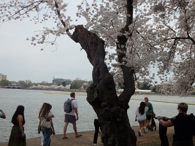 Spring25 (218)