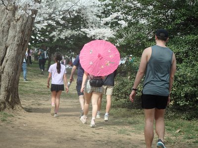 Spring25 (227)