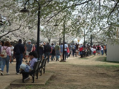 Spring25 (230)
