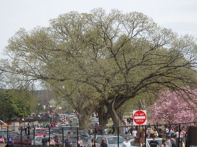 Spring25 (235)