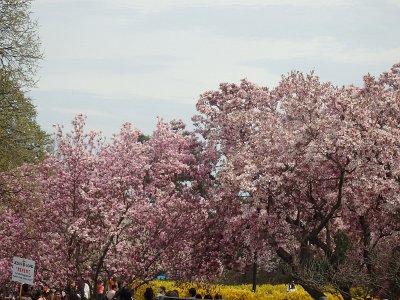 Spring25 (237)