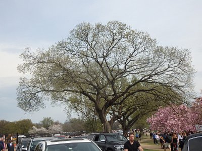 Spring25 (238)