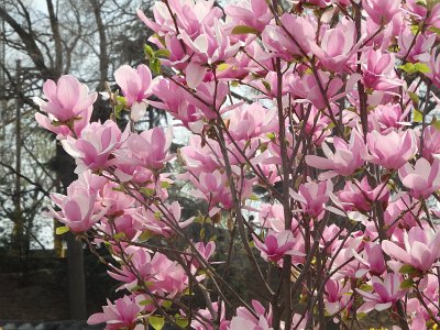 Spring25 (241)