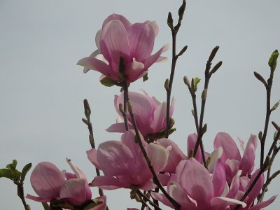 Spring25 (243)