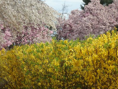 Spring25 (247)