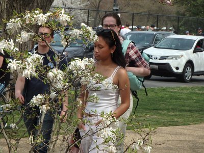 Spring25 (252)