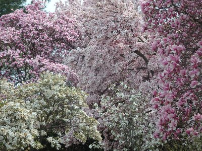 Spring25 (260)