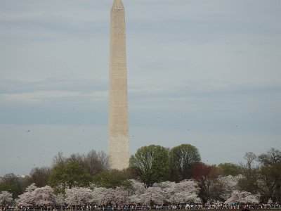 Spring25 (271)