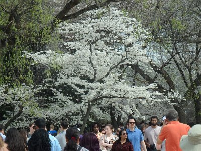 Spring25 (276)
