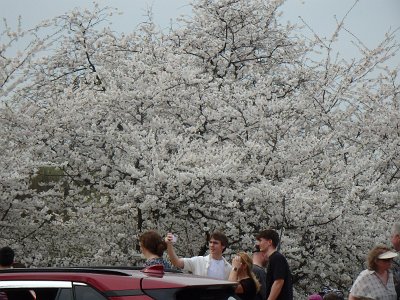 Spring25 (28)