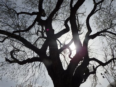 Spring25 (284)