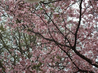 Spring25 (289)