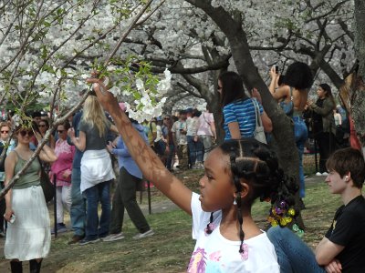 Spring25 (300)
