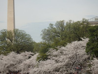 Spring25 (306)