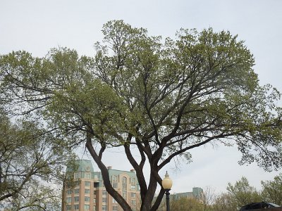 Spring25 (309)