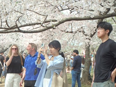 Spring25 (315)