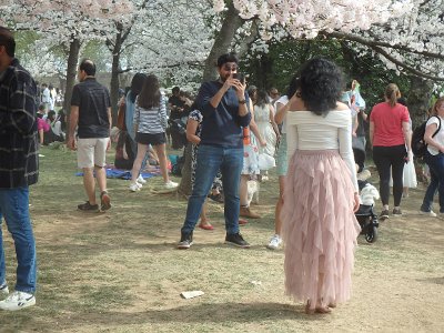 Spring25 (317)