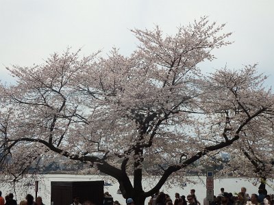 Spring25 (326)