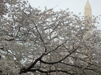 Spring25 (331)