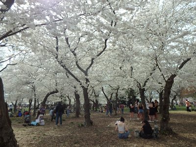Spring25 (338)