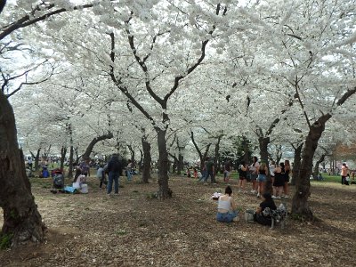 Spring25 (339)
