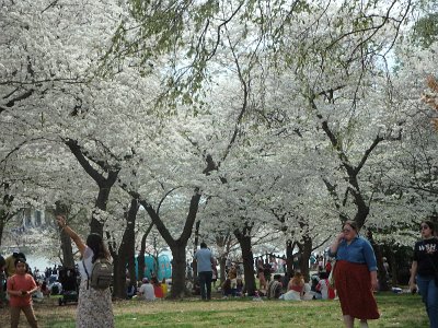 Spring25 (343)