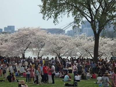 Spring25 (348)