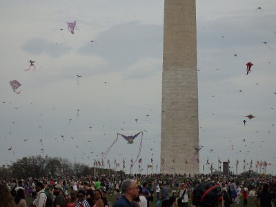 Spring25 (374)