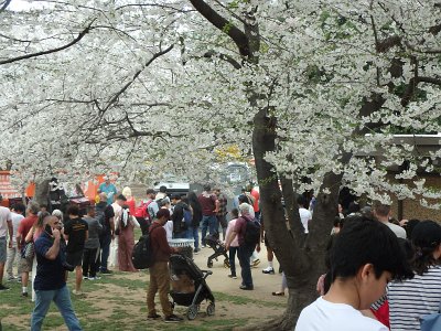 Spring25 (38)