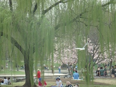Spring25 (385)