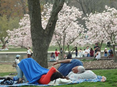Spring25 (390)