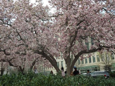 Spring25 (394)