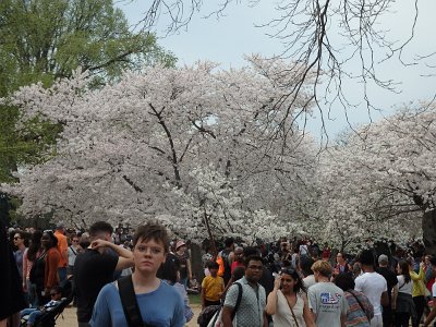 Spring25 (40)