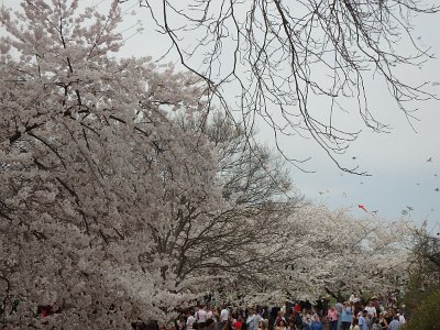 Spring25 (41)