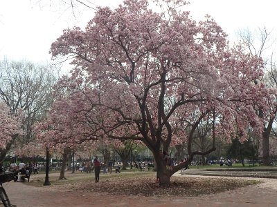 Spring25 (421)