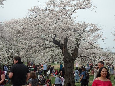 Spring25 (43)