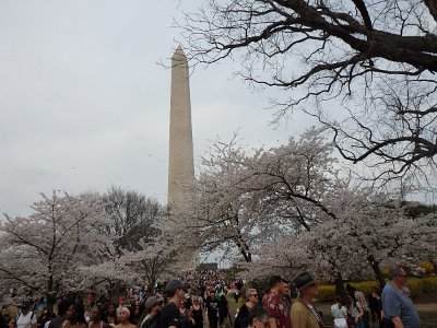 Spring25 (45)