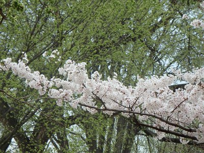 Spring25 (46)