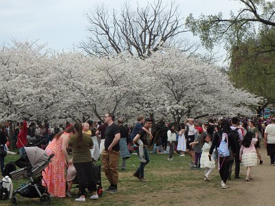 Spring25 (59)