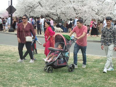 Spring25 (63)