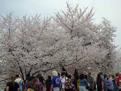 Spring25 (64)
